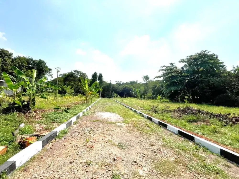 5 menit Taman Sari Forest Bekasi, Tanah Murah Siap Balik Nama Cocok Investasi