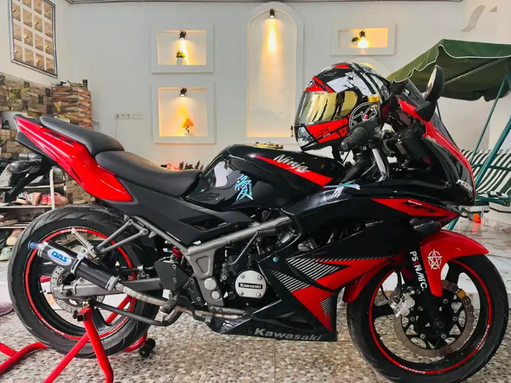Ninja RR new 2014