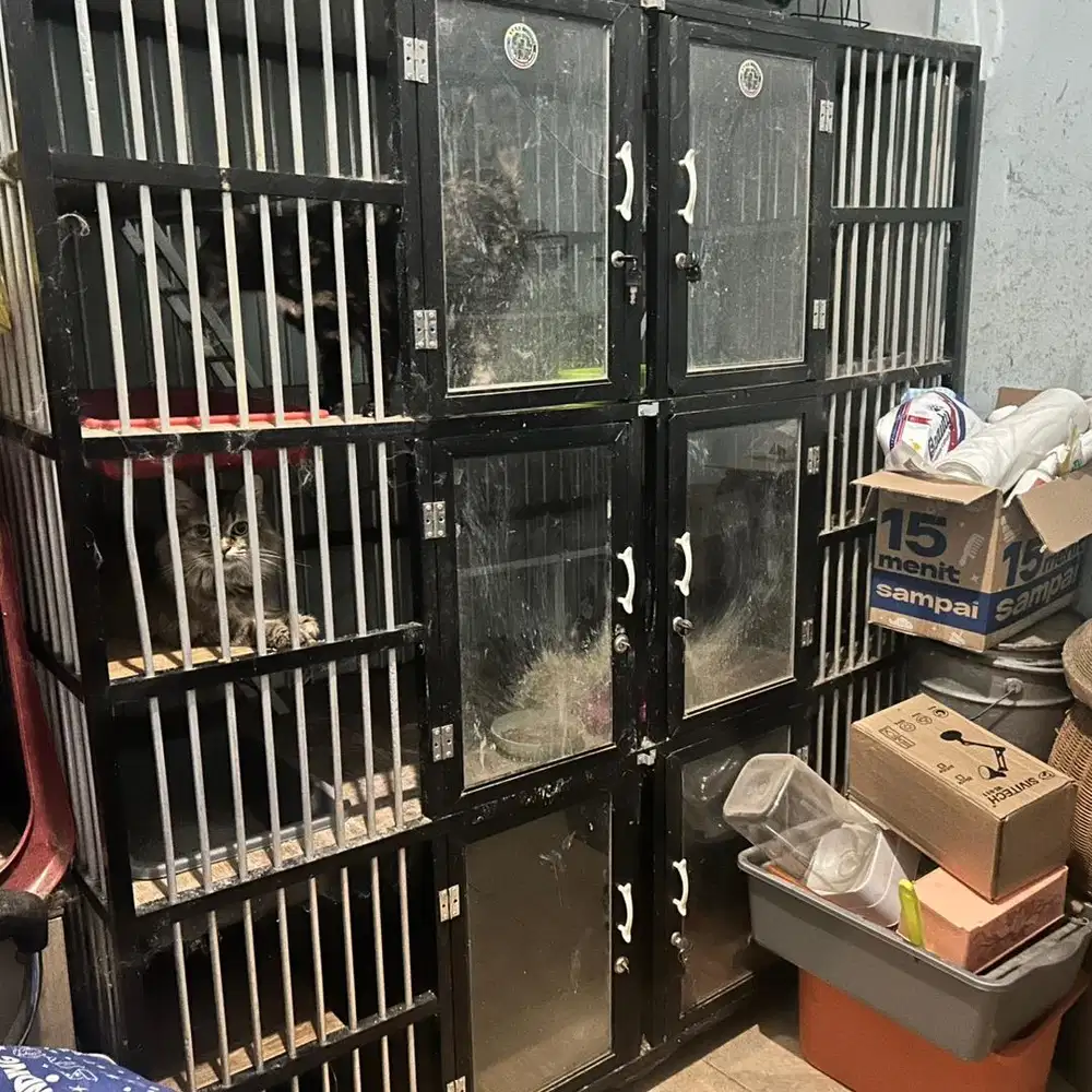 Jual Kandang Kucing 3 Tingkat