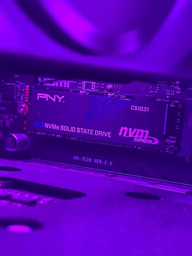 SSD NVME PNY CS1031 256GB