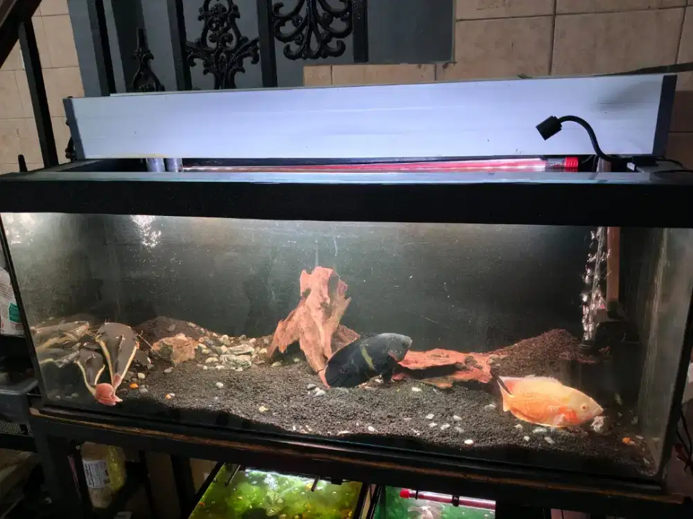 aquarium 100 x 40 x 40 dll