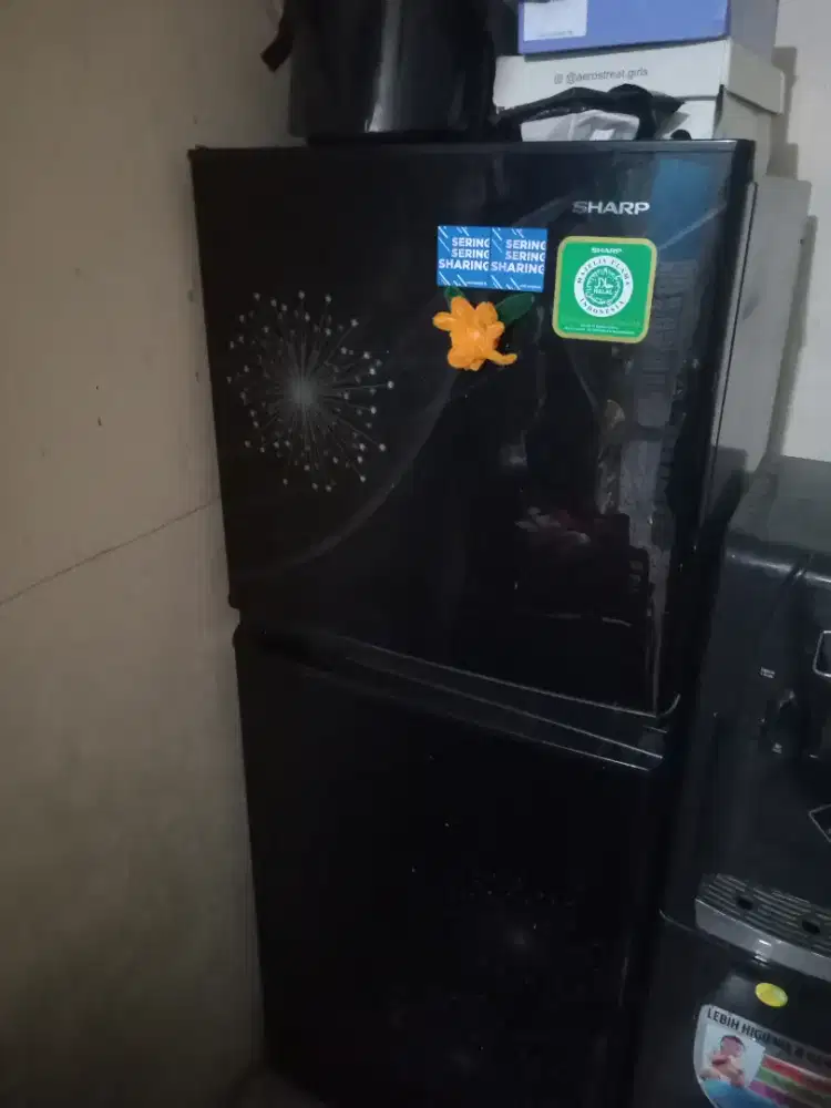 Kulkas sharp 2 pintu