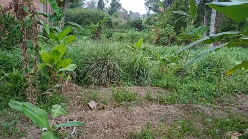 Dijual Tanah di Tanjung Barangan