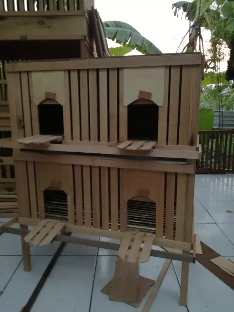 Bekupon dan kandang ayam