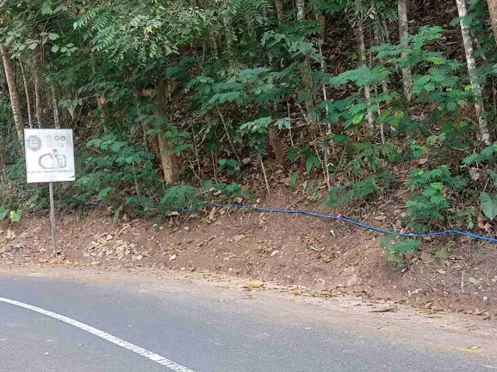 dijual tanah murah.lokasi pinggir jalan raya di banyunganti,Jatimulyo,girimulyo,kulon progo