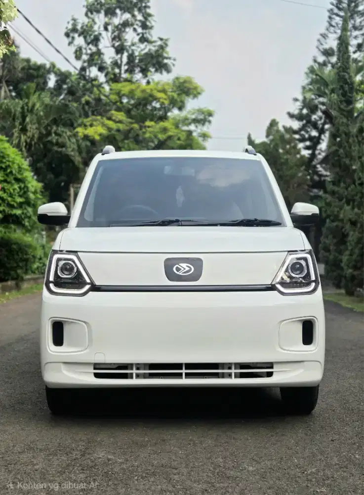 Dfsk seres e1 ev 2025