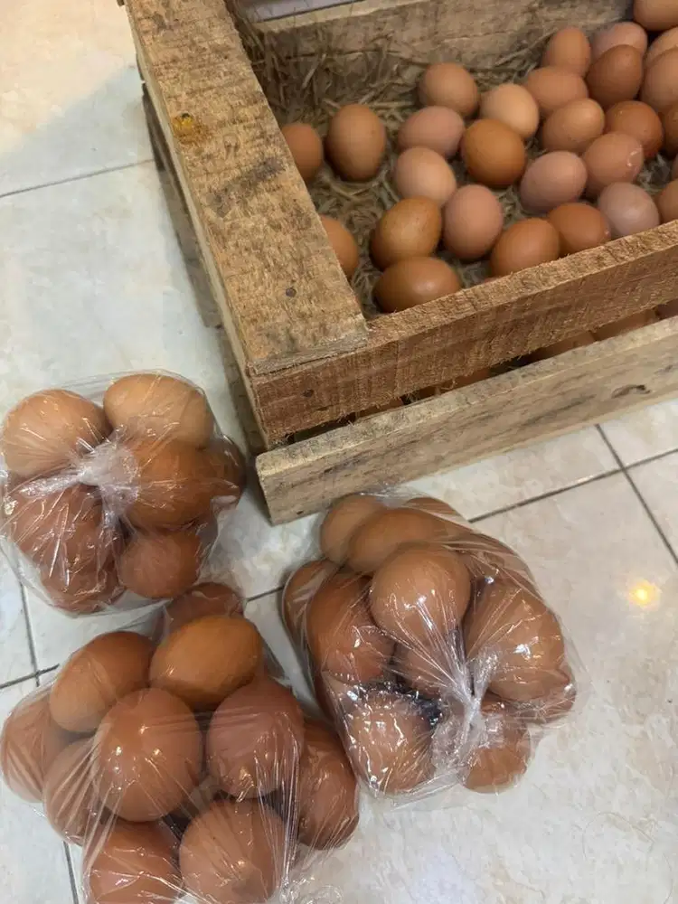 Telur Omega Sleman, Jogja - Siap Antar