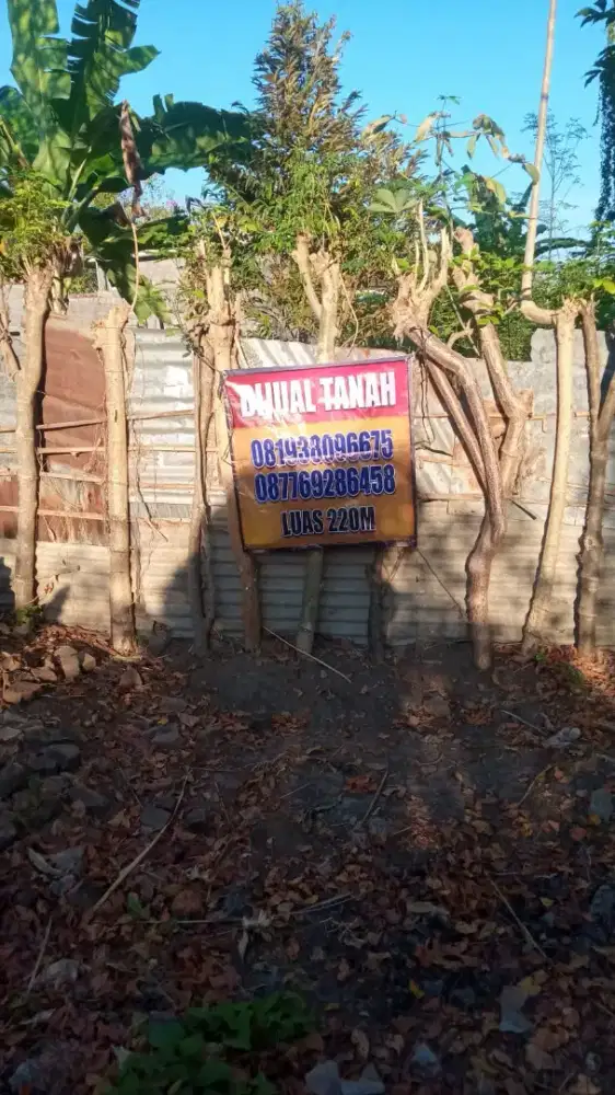 Di jual tanah di Pemaron