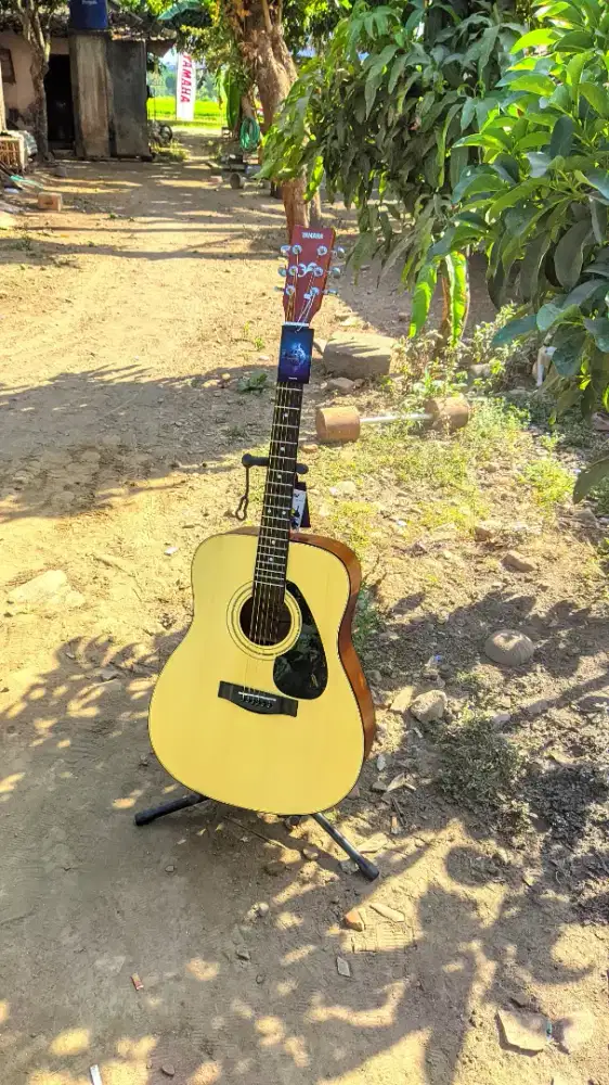 Gitar Akustik Yamaha F310 High Quality Baru