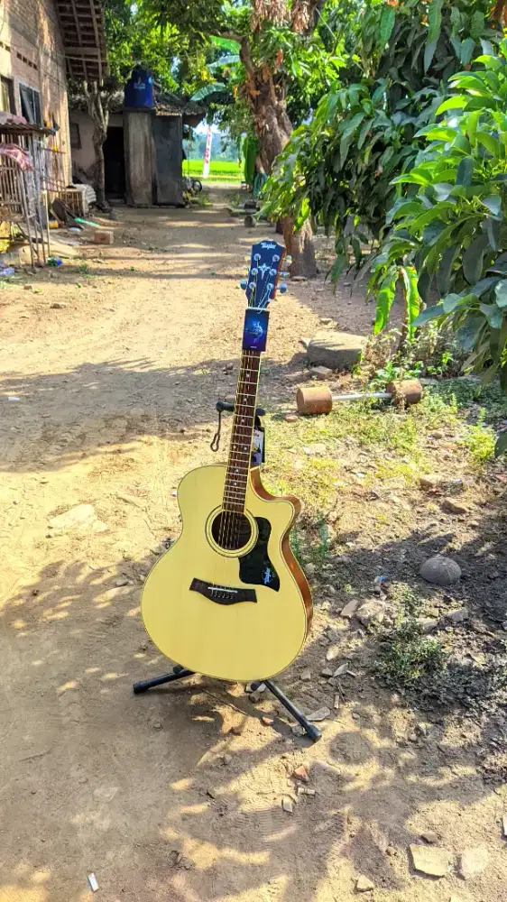 Gitar Akustik Taylor High Quality Baru