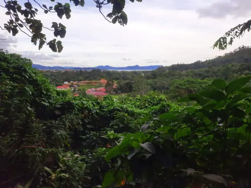 Tanah lahan kosong sibuluan nalambok aibolga - pandan