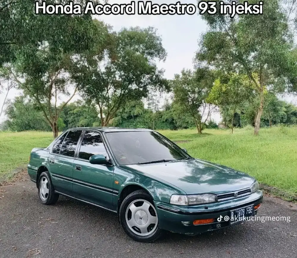 Honda accord maestro