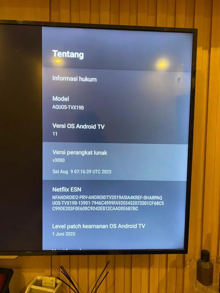 Bismillah dijual TV sharp 55 inci