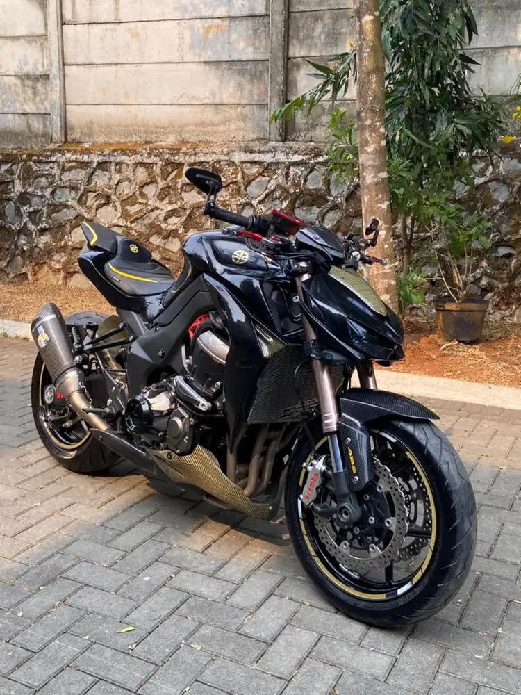 Kawasaki Z1000 sugomi