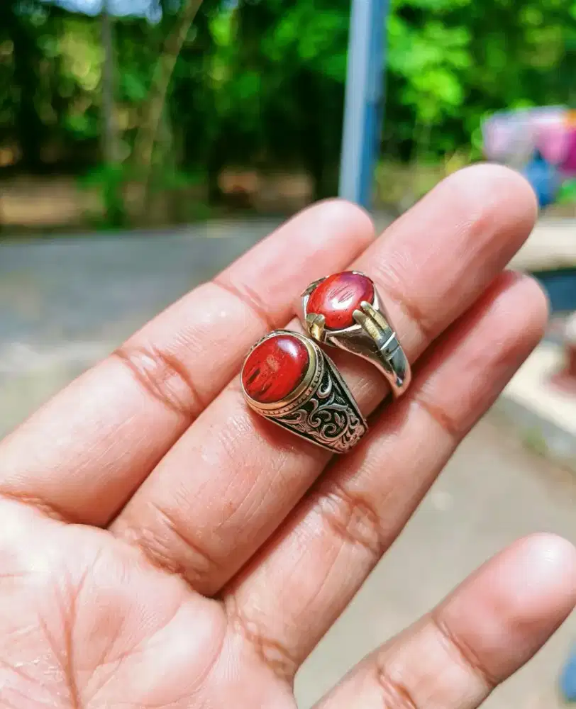 Wunglen original elegan