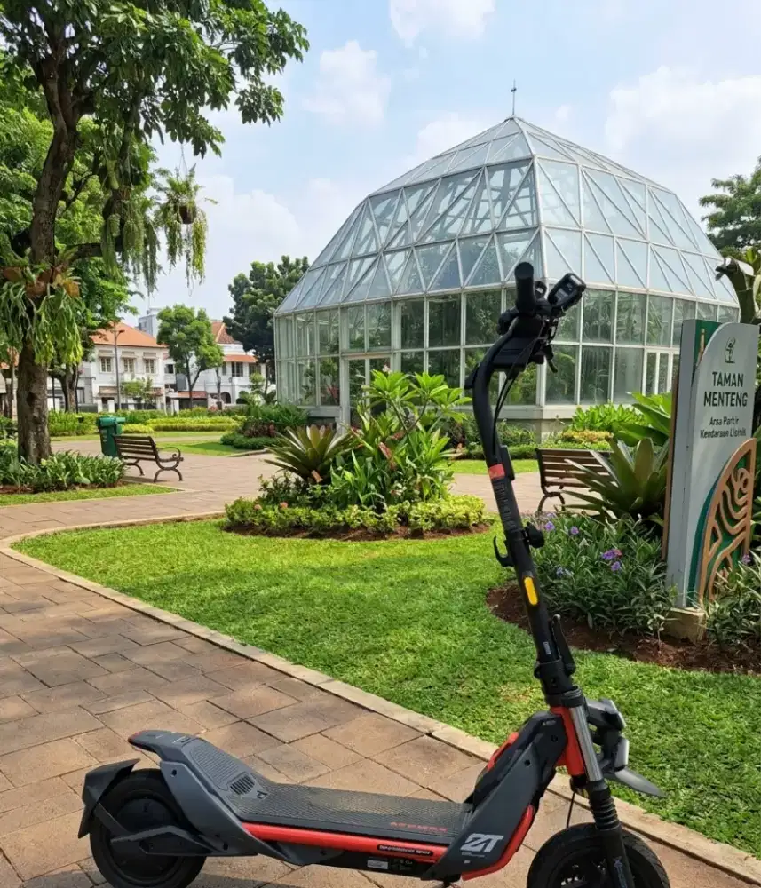 Segway ninebot Zt3 pro
