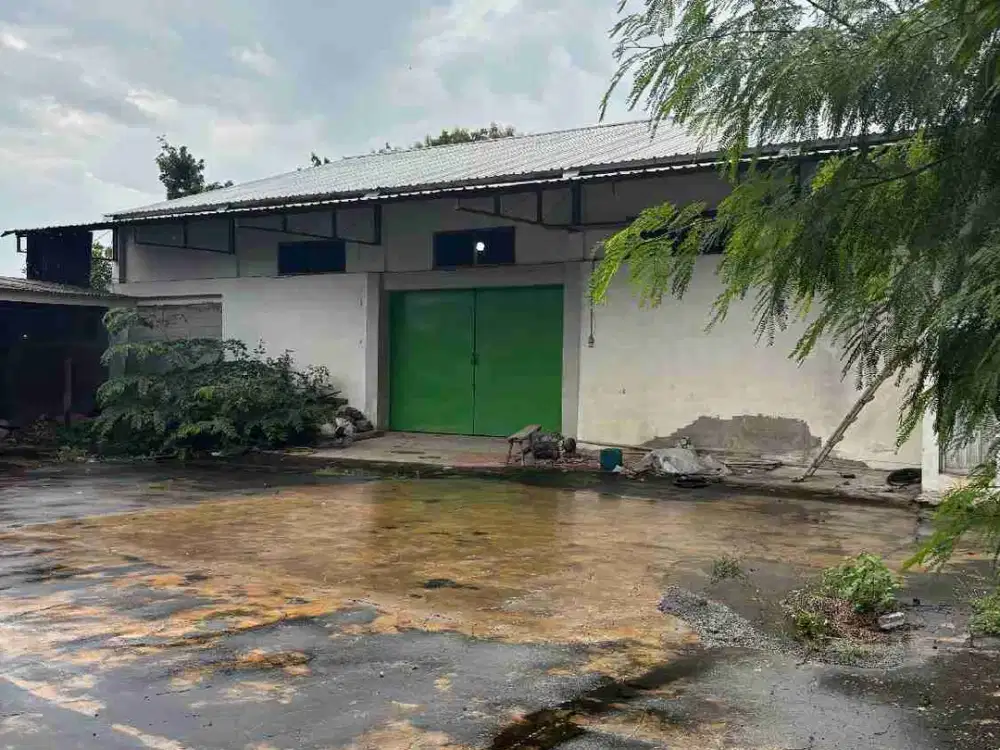 Jual rumah dan gudang selepan murah gemolong Sragen
