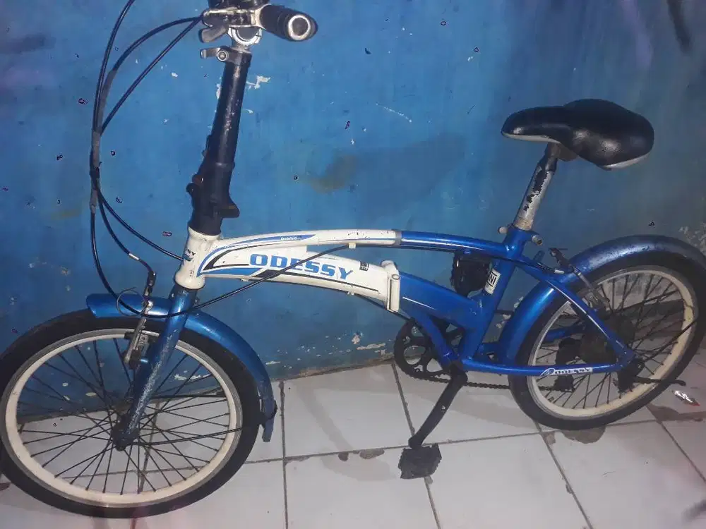 Speda odessy dolpin