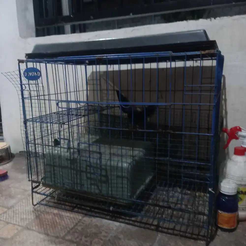 jual kandang kucing kokoh