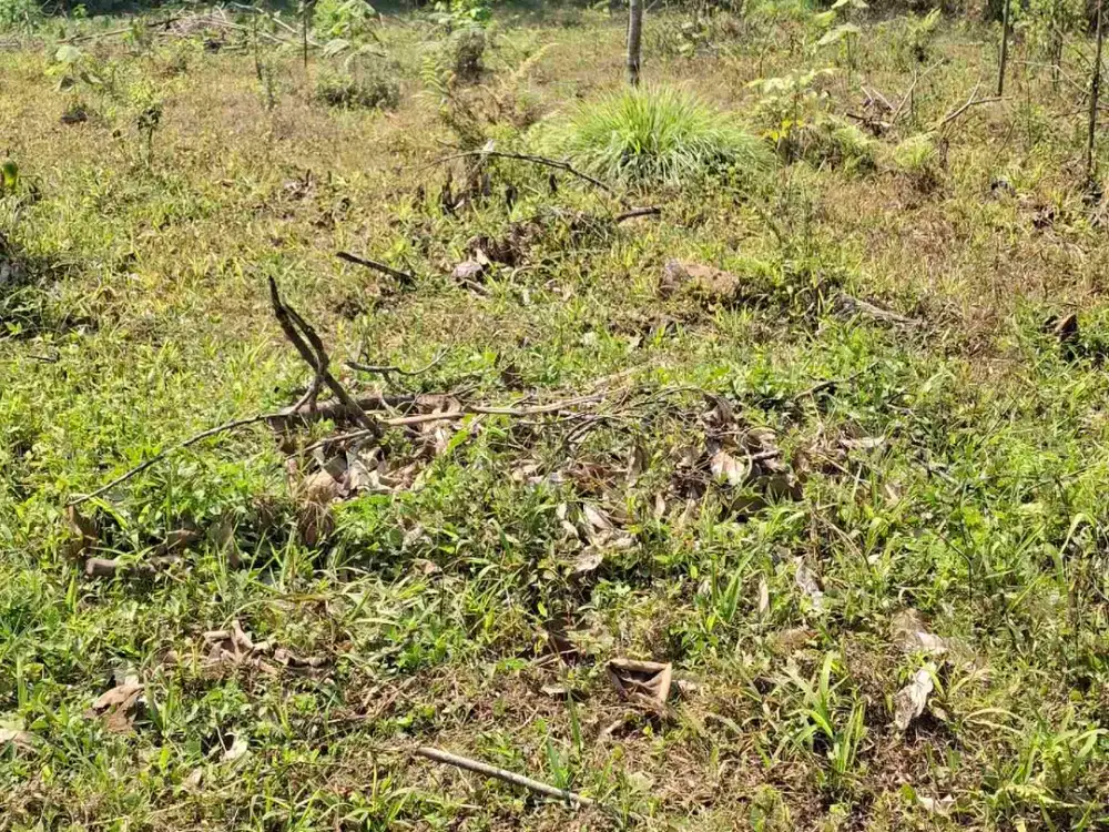 Tanah Murah Nol Jalan Dekat Kota Malang