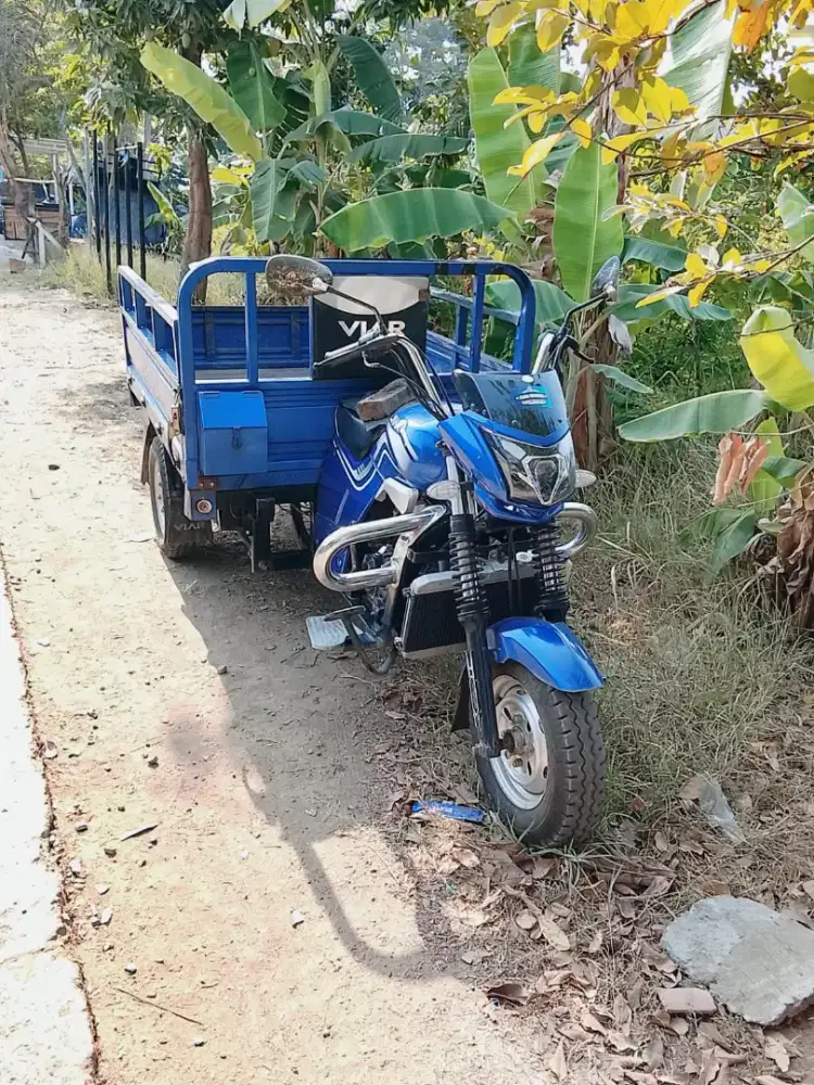 MOTOR RODA TIGA VIAR 150L