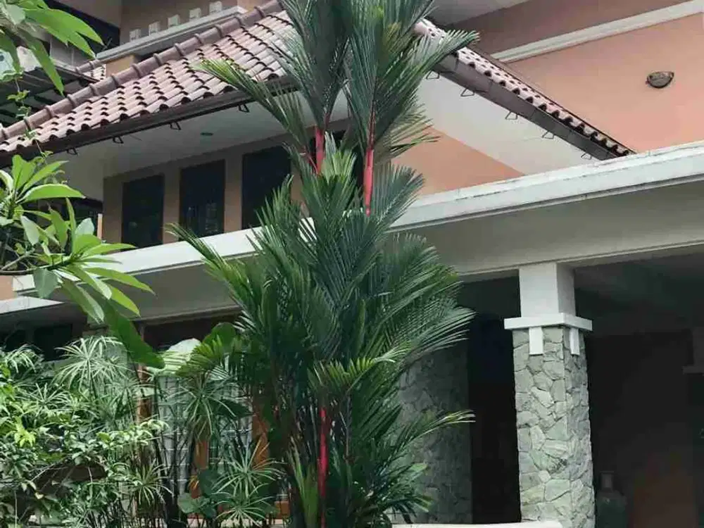 RUMAH LUAS DENGAN. SWIM POOL  DI LEBAK BULUS