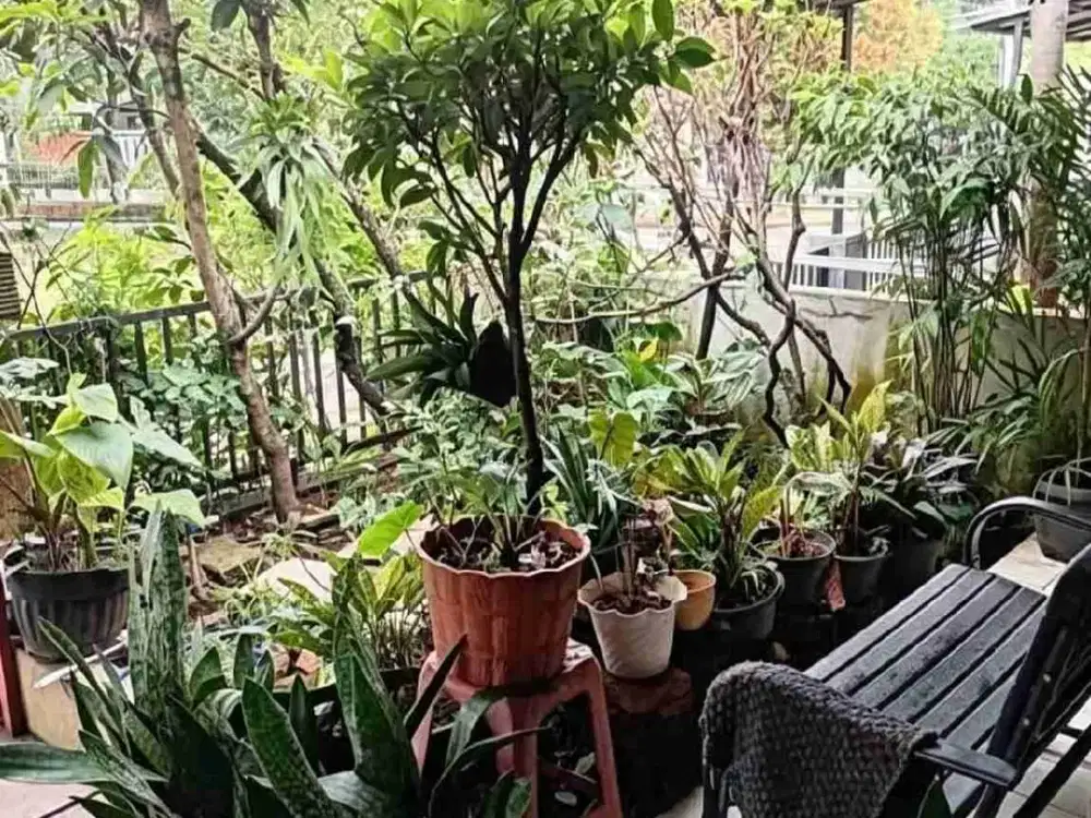 DiJual Rumah Depan Taman Bukit Golf Cibubur