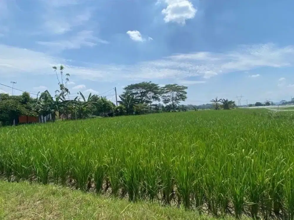 DIJUAL TANAH STRATEGIS 2.475 m² DI KLAPANUNGGAL, KABUPATEN BOGOR
