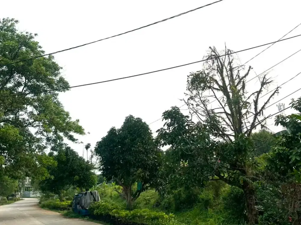DIJUAL TANAH DI CIBINONG BOGOR