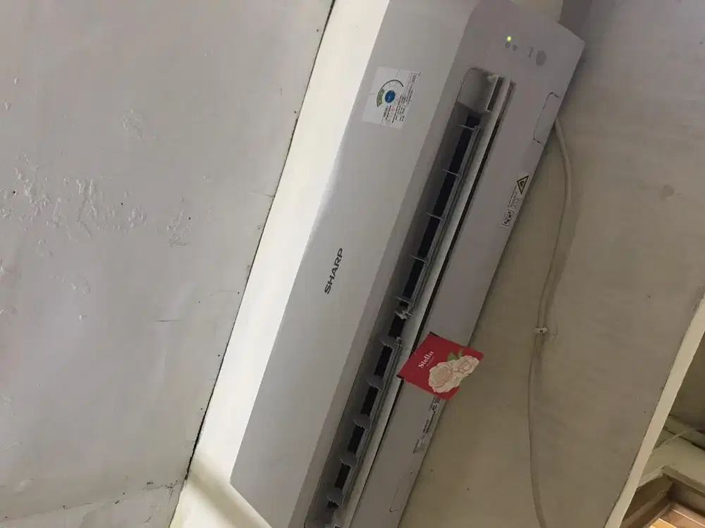 Ac sharp 1/2 pk second