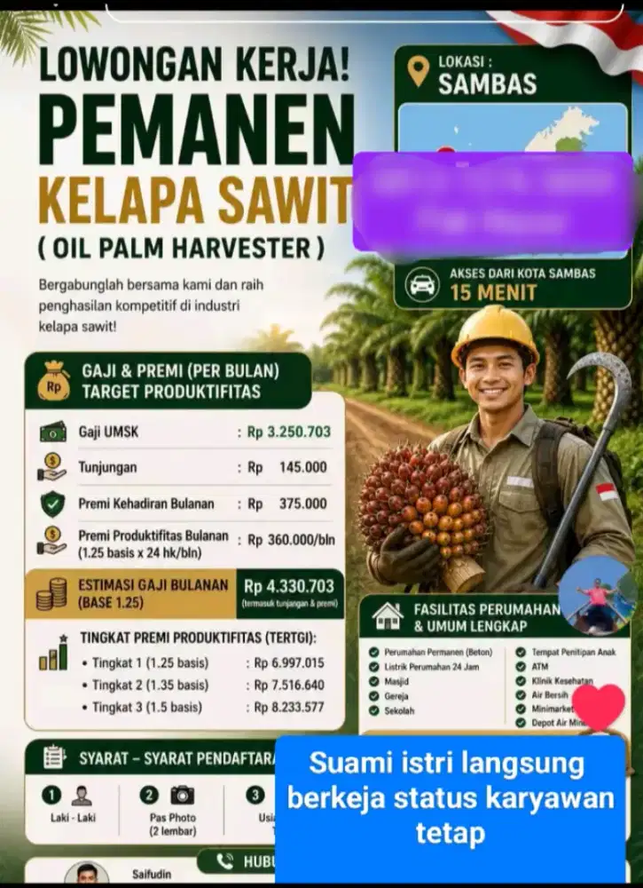 Loker perkebunan kelapa sawit