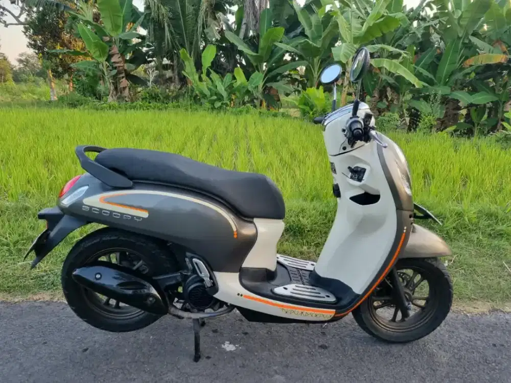 SCOOPY FASHION BROWN 2023