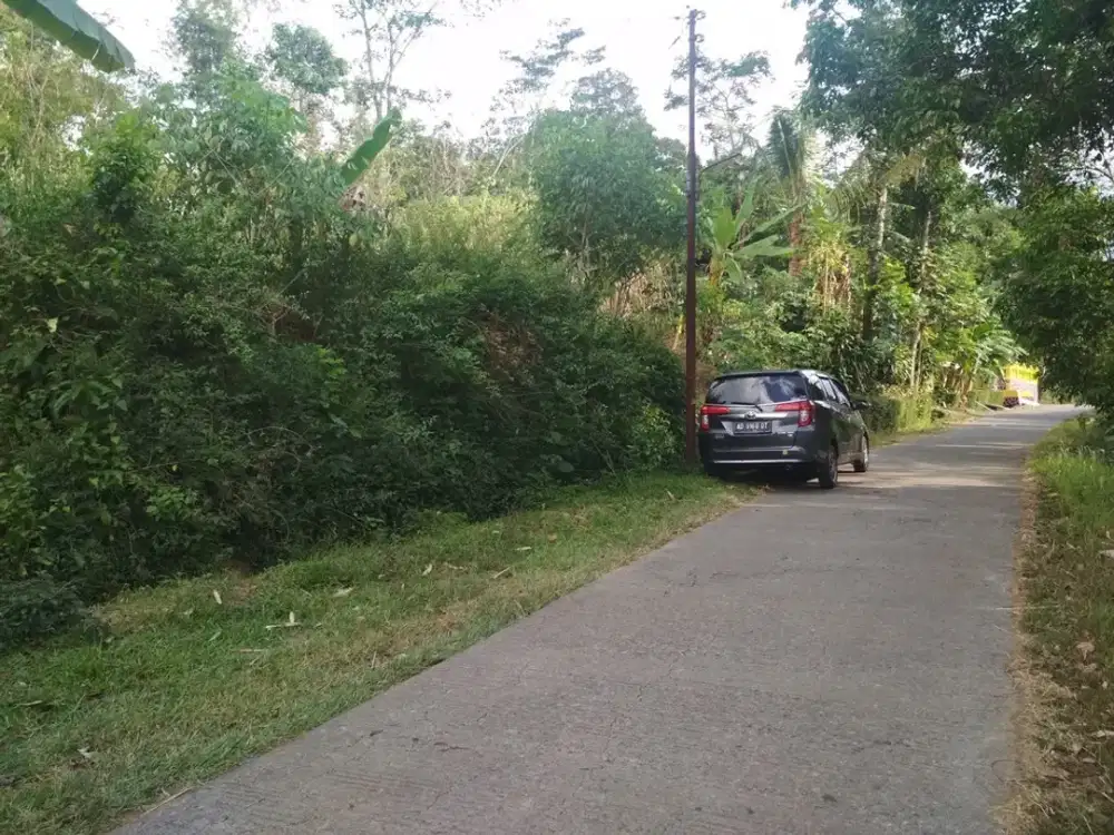 Tanah dijual di Tohkuning Karangpandan barat kebun karet harga nego