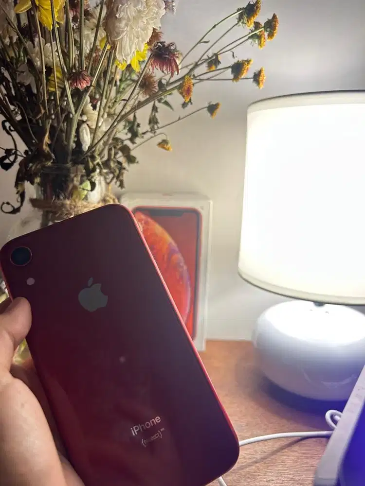 iPhone Xr 128GB Inter