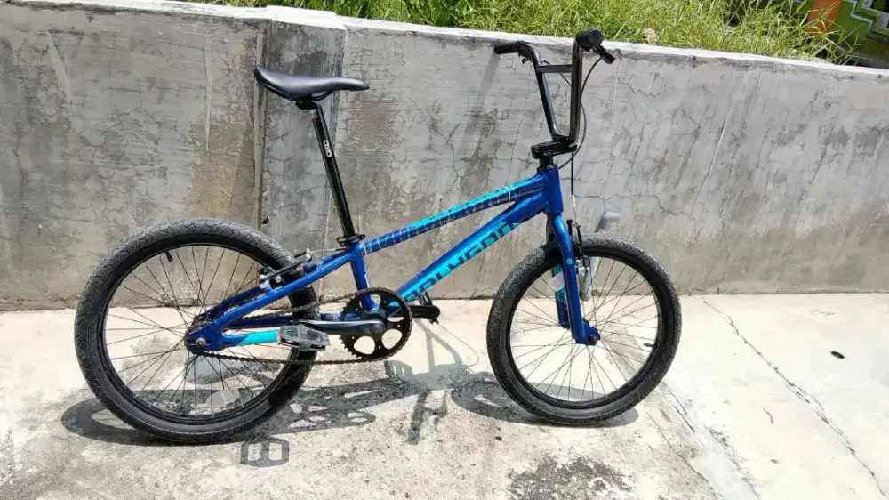 Polygon Rogue 20 inc