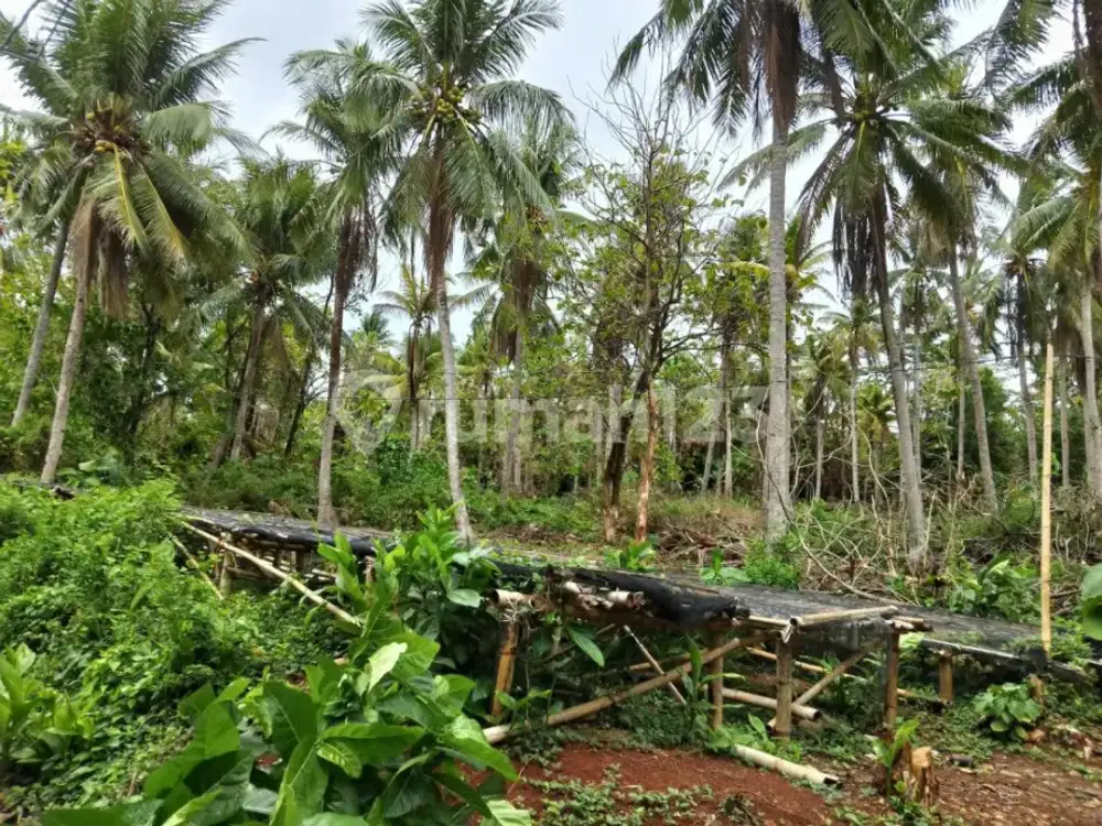 Tanah di Karimunjawa Jepara bagus untuk resort