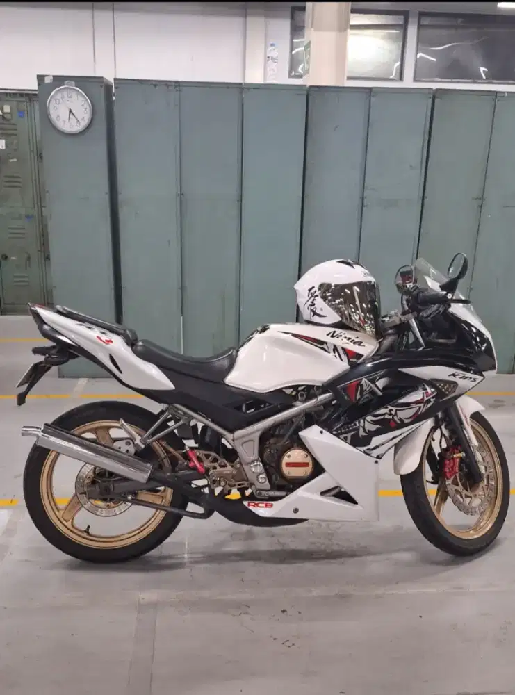 NINJA RR SE 2013