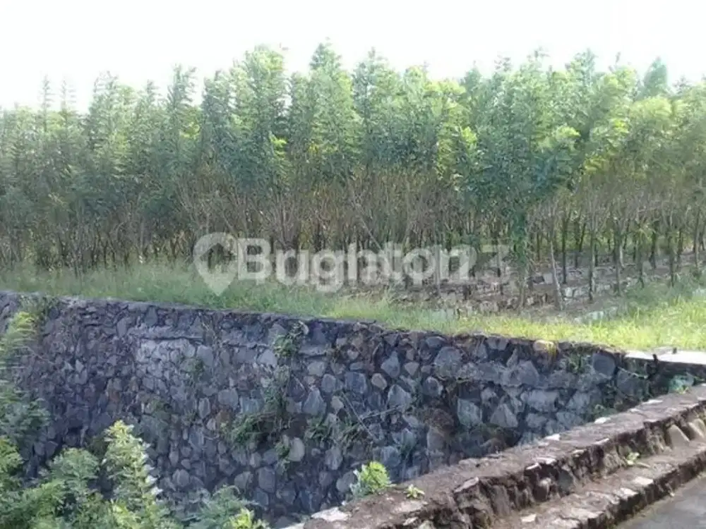 * Murah Tanah Pabrik Ex Kayu Plus Mesin2 DiDalamnya di  Sskitar KABUPATEN SUKABUMI, Propinsi Jawa barat..*(Kode Rmrf2046)