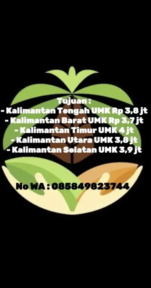 LOKER PEMANEN KELAPA SAWIT KALIMANTAN INDONESIA GRATIS