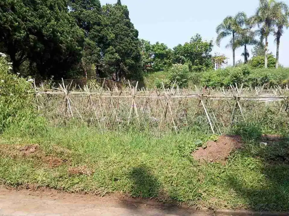 Dijual Tanah Kavling Posisi Hook Di Villa Istana Bunga Lembang