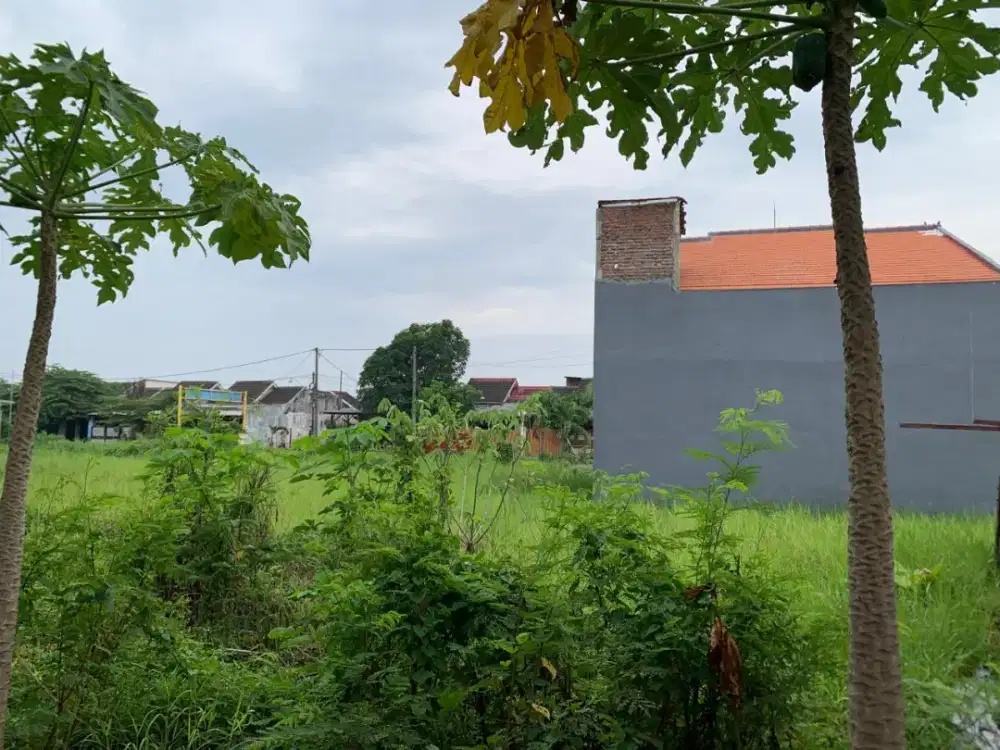 Dijual Tanah SHM 204 m2 Desa Pepe Sedati sidoarjo
