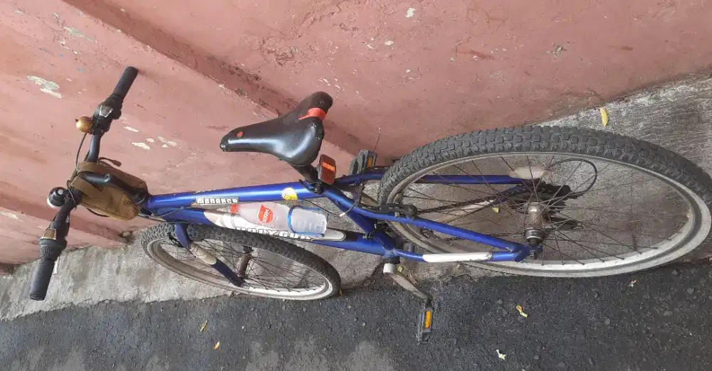 Polygon Monrch size 26 frame steel