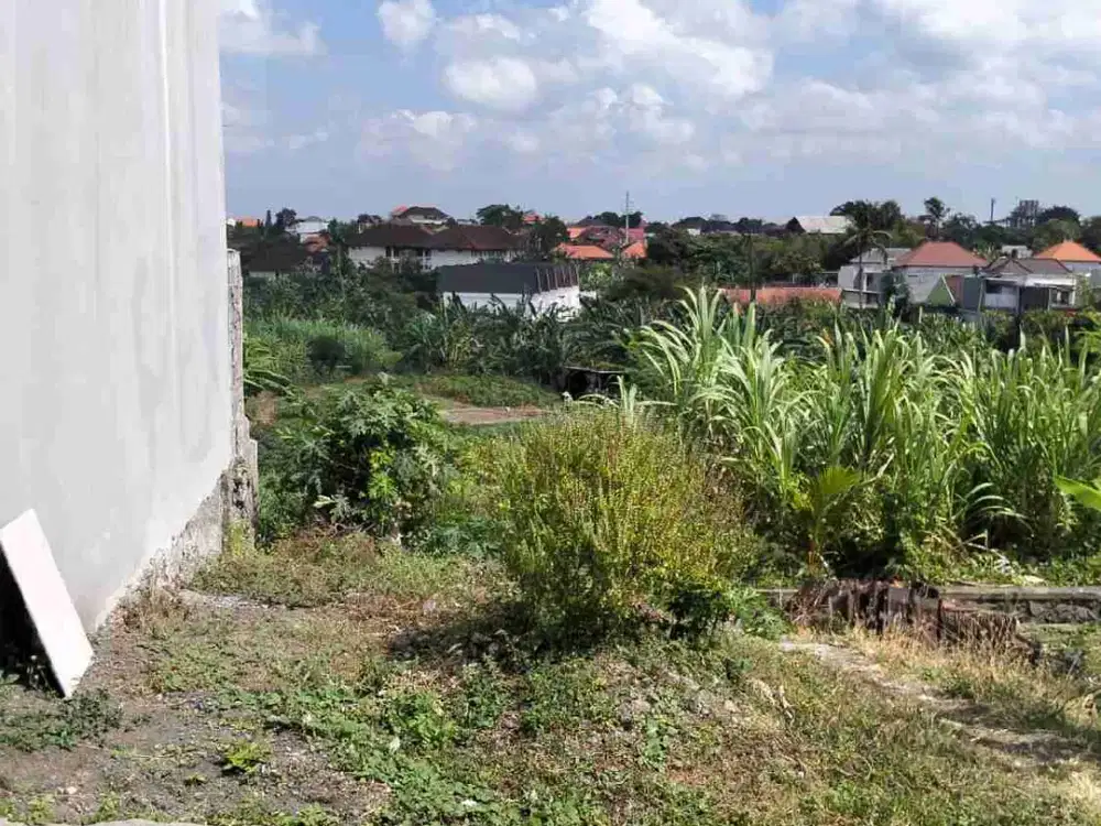 TANAH MURAH JALAN PANDU DALUNG PERBATASAN PADONAN CANGGU SIAP BANGUN, COCOK UNTUK GUESTHOUSE HOMESTAY VILLA