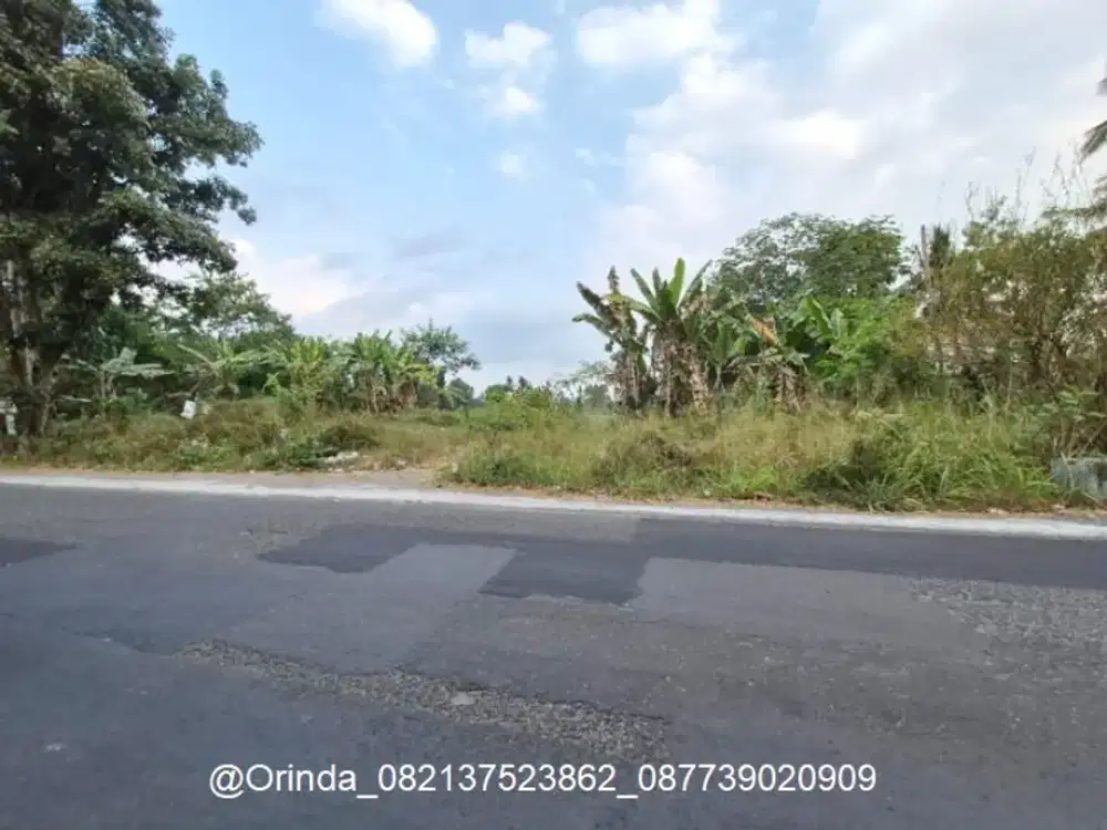 LT 2199 LD28 TEPI JALAN AREA JL KALIURANG KM 14 NGEMPLAK DEKAT KAMPUS UII, DEGOLAN, PAMUNGKAS, UMBULMARTANI, PANDANARAN COCOK USAHA, GUDANG, KULINER