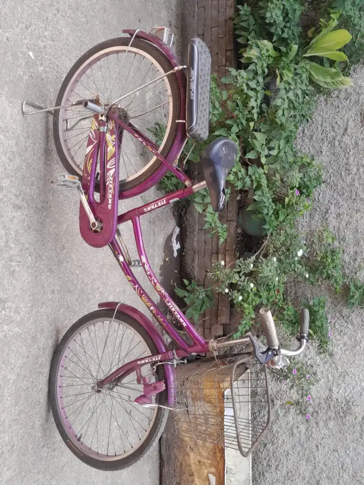 Dijual cepat sepeda murah