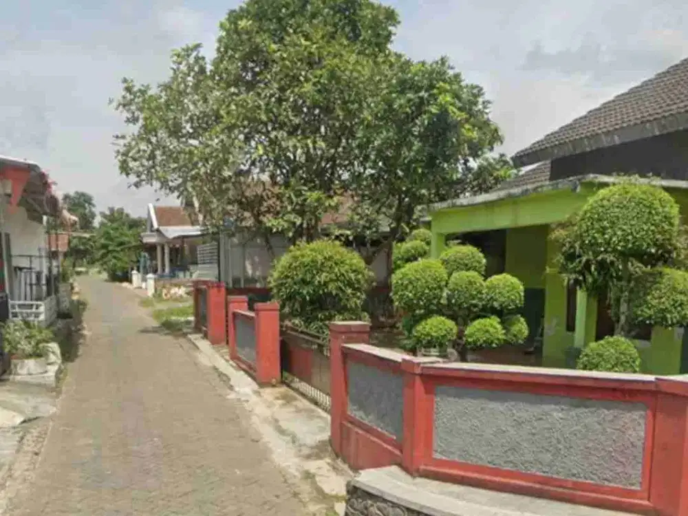 Tanah Murah di Rembangan Patrang dekat Kota Jember Jawa Timur