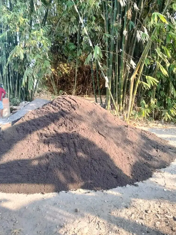 Pasir Kediri / pasir pasang