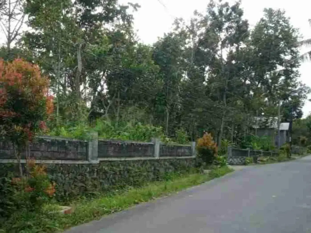 DIJUAL TANAH ISTIMEWA KARANGNONGKO, KLATEN