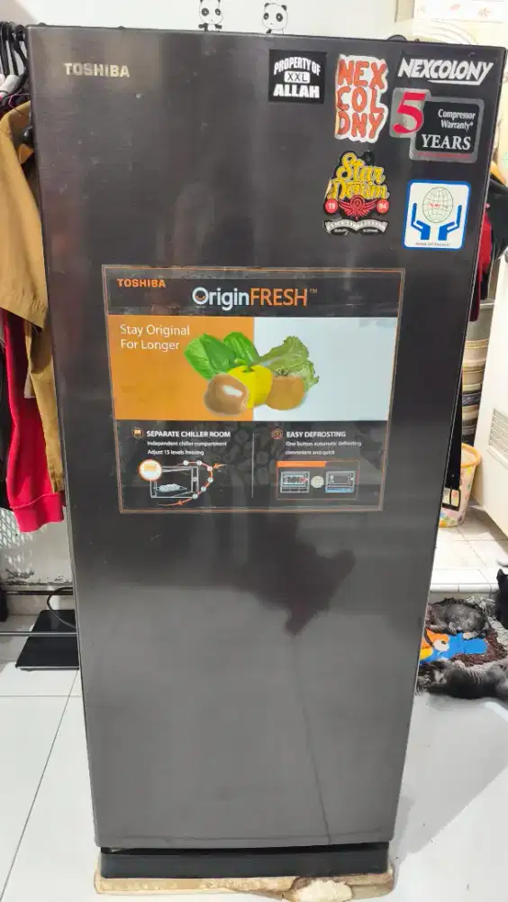 KULKAS TOSHIBA 1 PINTU