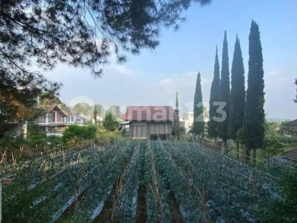 Tanah Matang Murah Banget Cocok di Bangun Villa atau Rumah Huni di Villa Istana Bunga Lembang Bandung